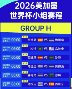 2026世界杯官方中文网站赛事氛围图